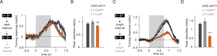 Figure 3—figure supplement 1.