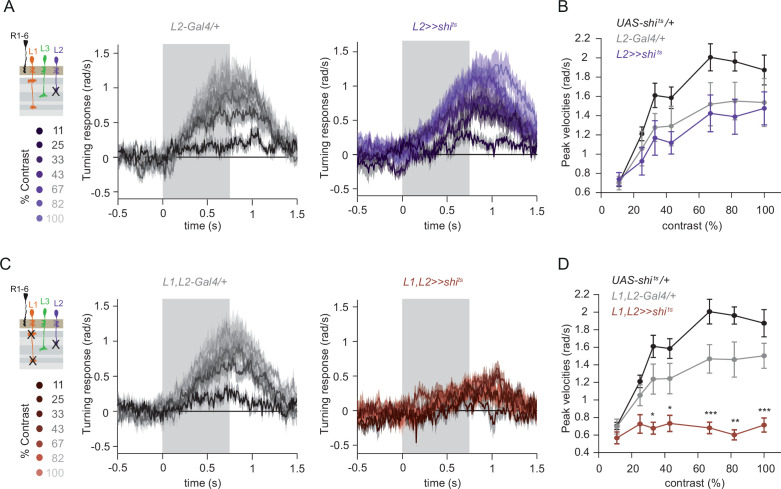 Figure 5—figure supplement 1.