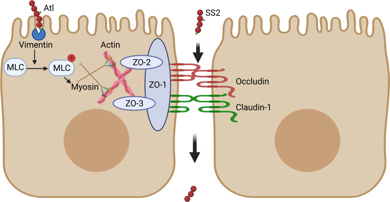 Fig 8