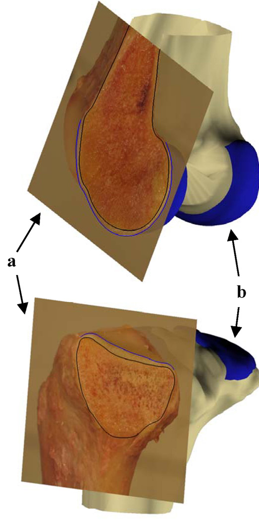 Figure Appendix