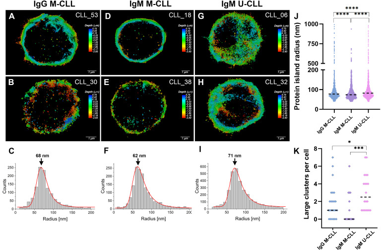 Figure 6