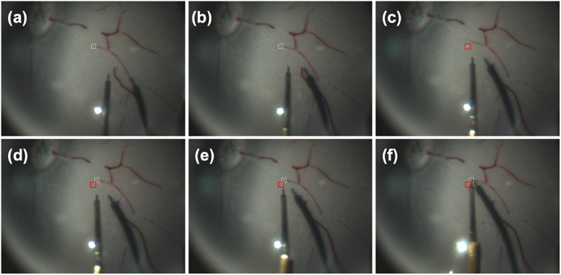 Fig. 6.