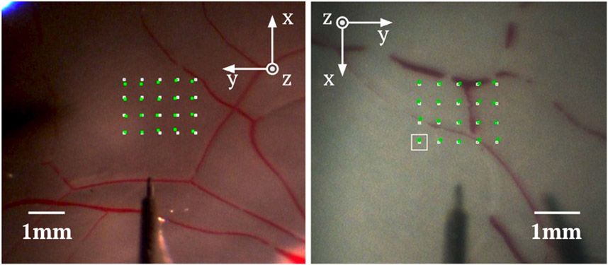 Fig. 4.