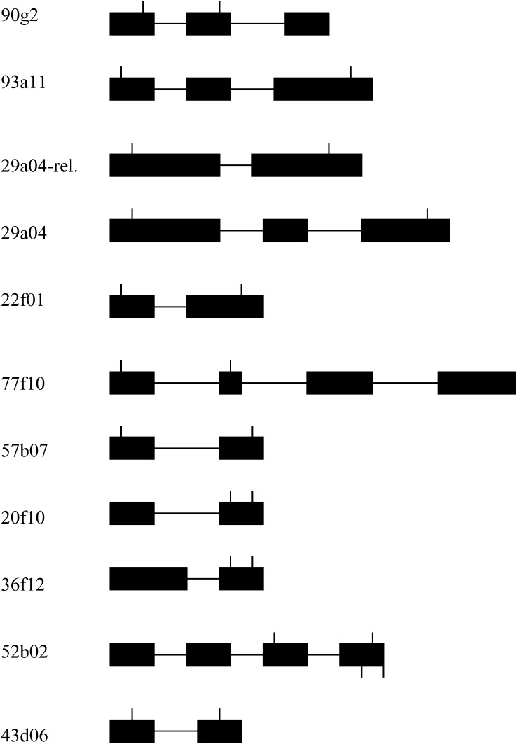 Figure 1.—