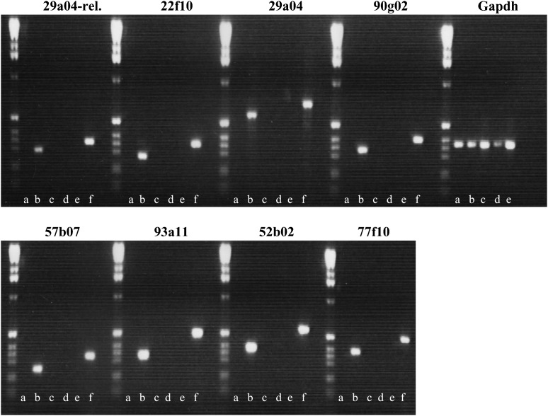 Figure 2.—