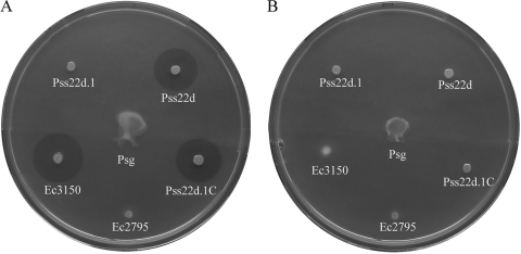 FIG. 4.