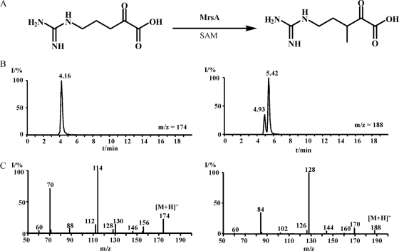 FIG. 6.