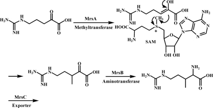 FIG. 7.