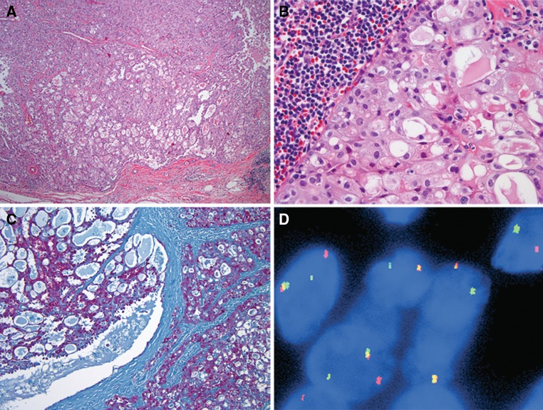 Fig. 2