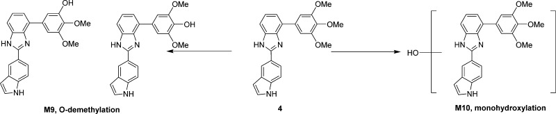 Figure 8