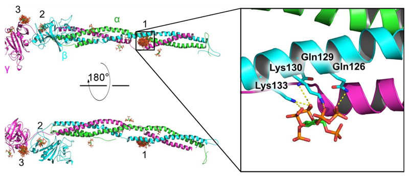 Fig. 4