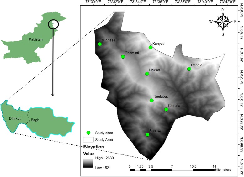 Fig. 1