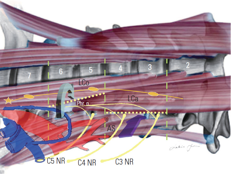 Fig. 17.