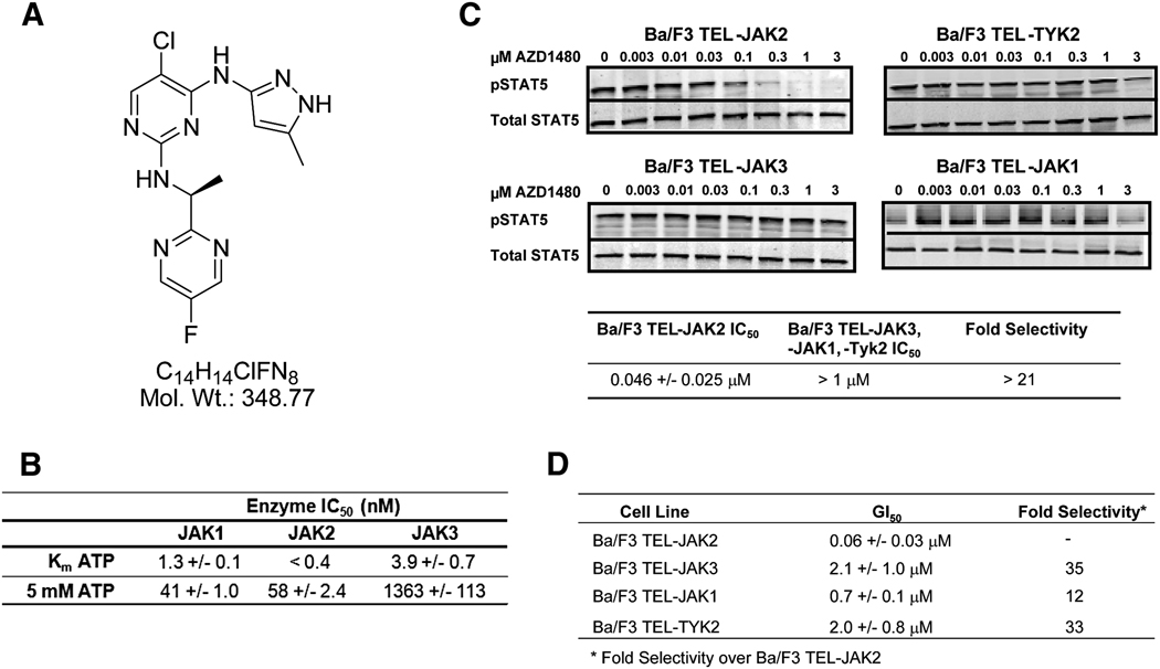 Fig.1