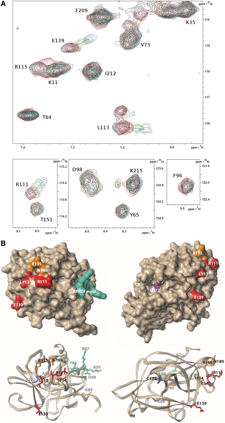 Figure 7.