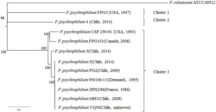 Fig 4