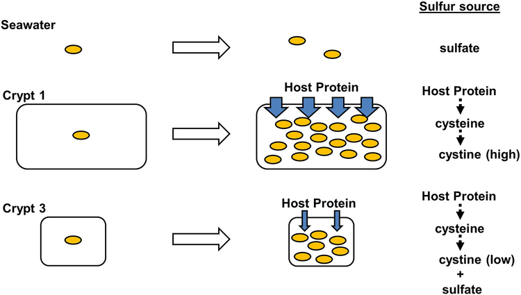 Fig. 9.