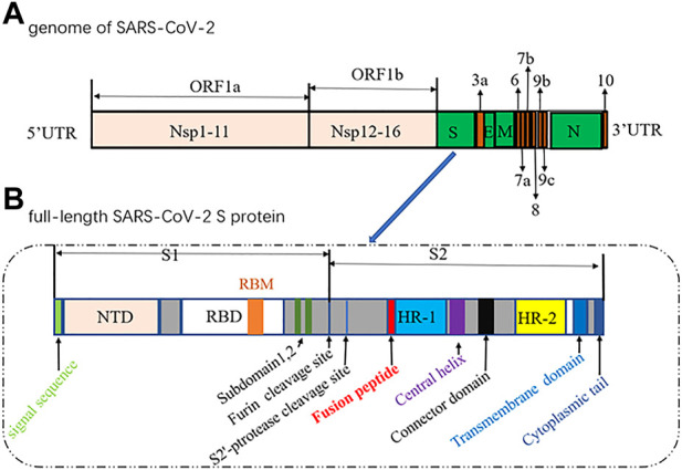 FIGURE 1