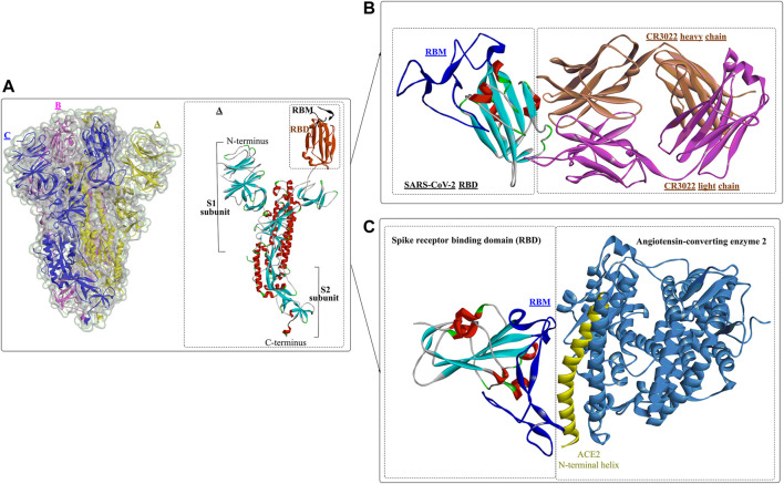 FIGURE 2