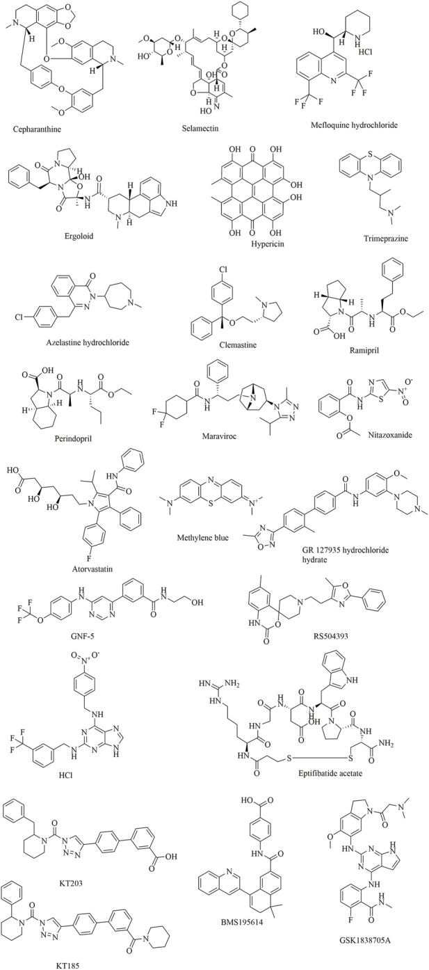 FIGURE 11