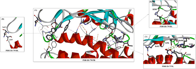 FIGURE 6