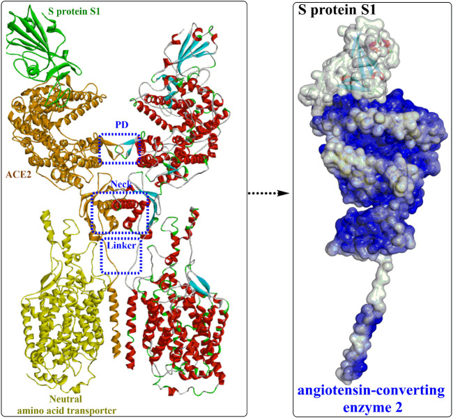 FIGURE 3