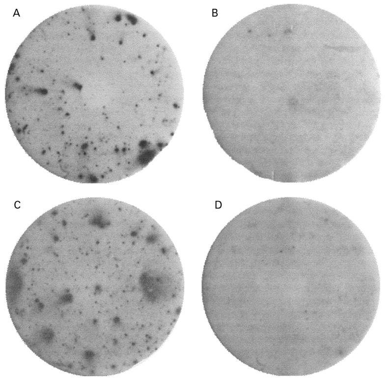 Figure 2  