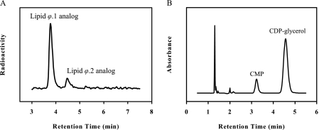 FIGURE 1.