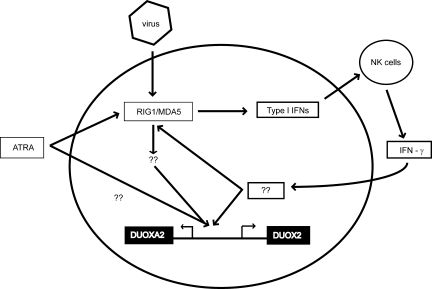 Fig. 6.