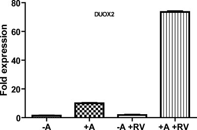 Fig. 5.