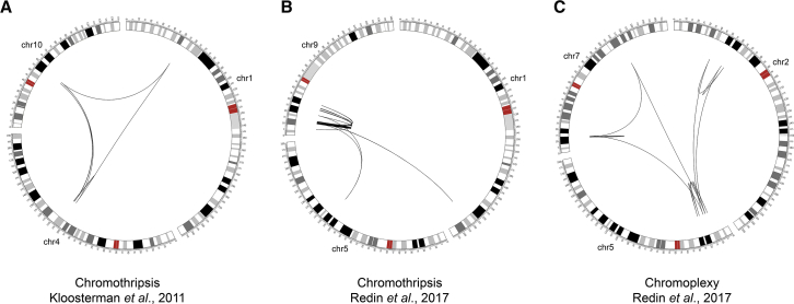 Figure 2