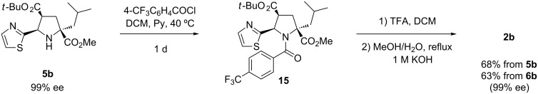 Scheme 4