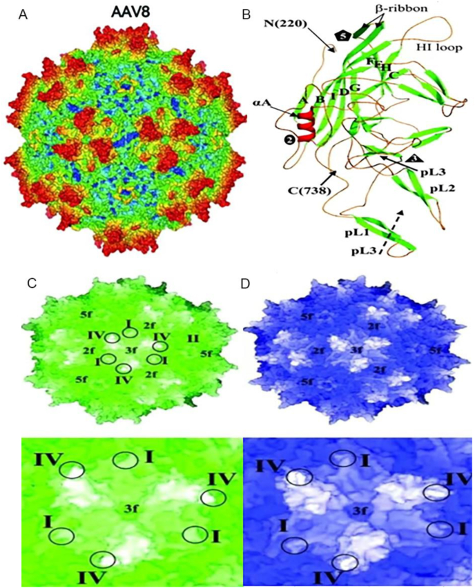 Fig. 1