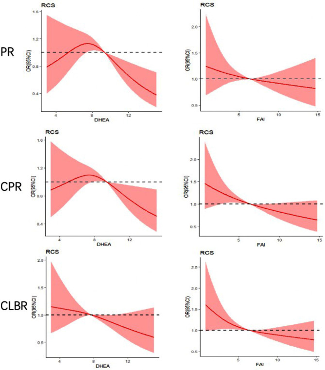 Impact of dehydroepiandrosterone sulfate and free androgen index on