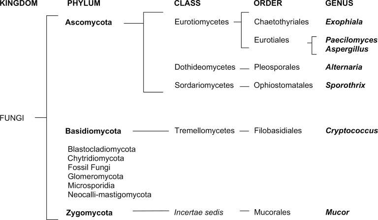 Fig 4.