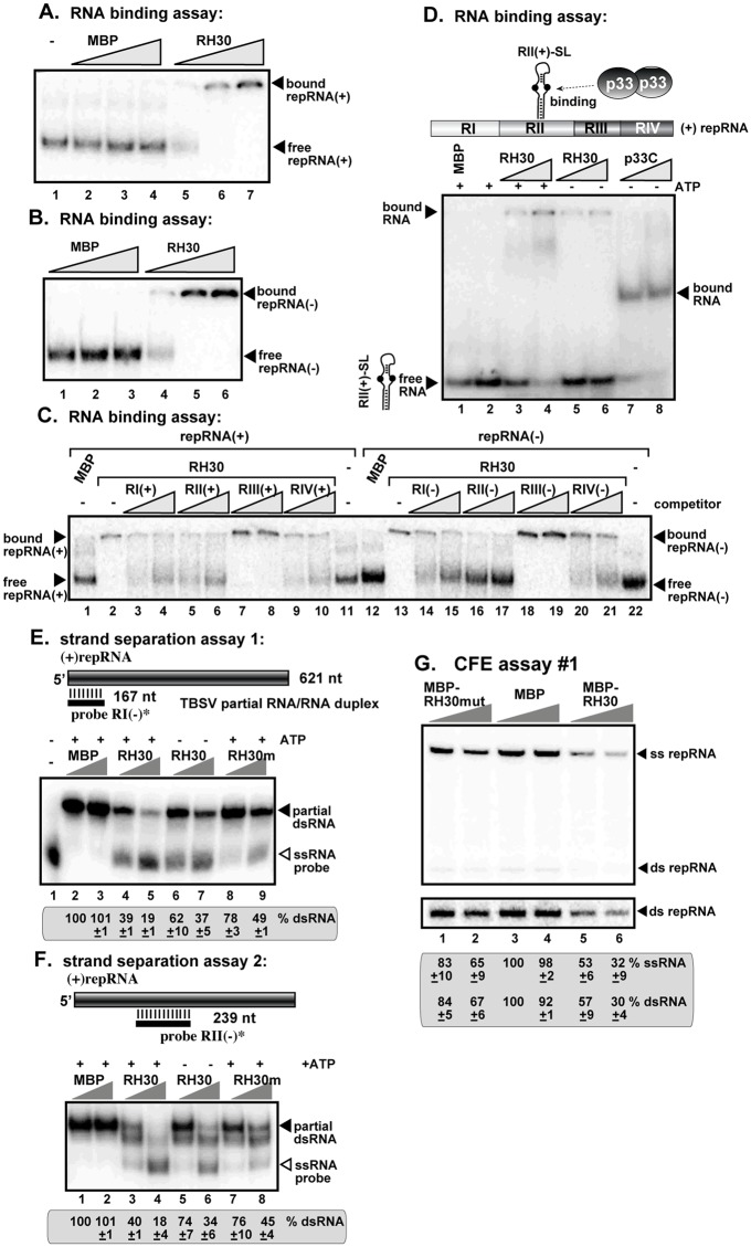 Fig 7