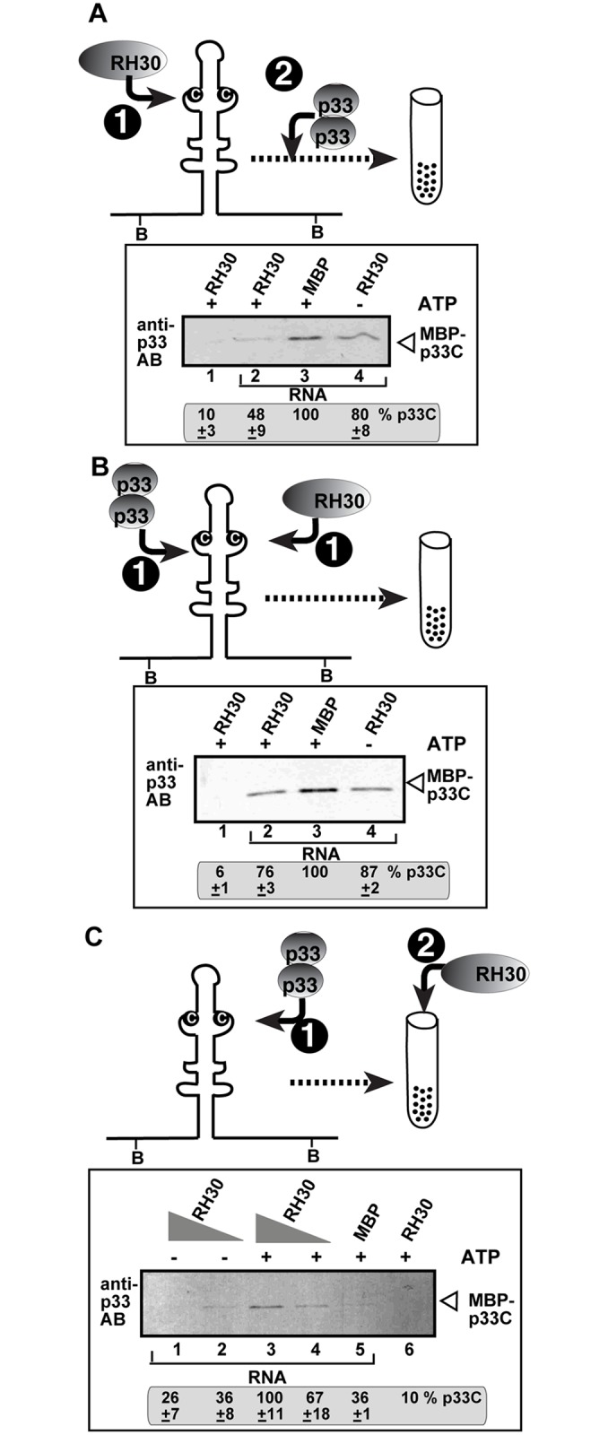 Fig 8