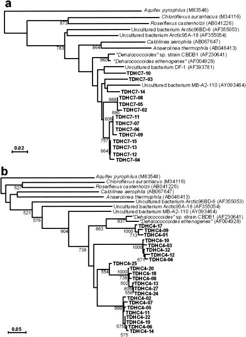 FIG. 5.