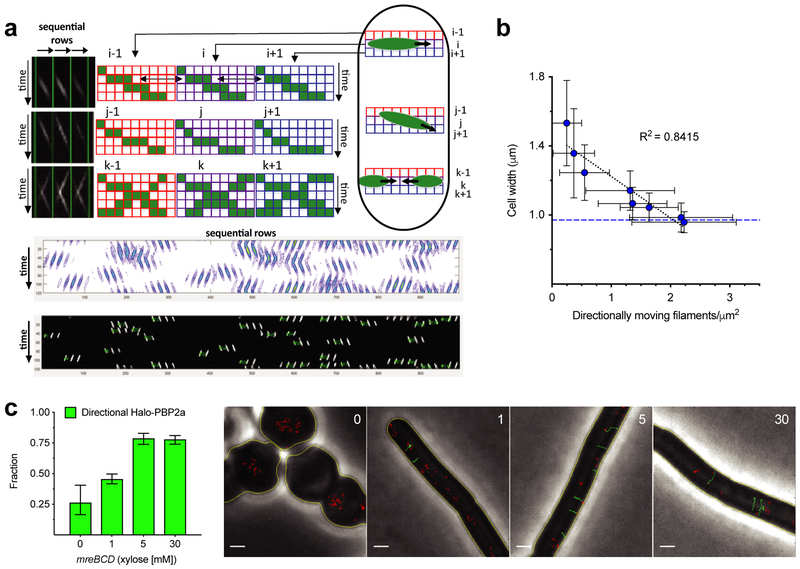 Figure 3 —