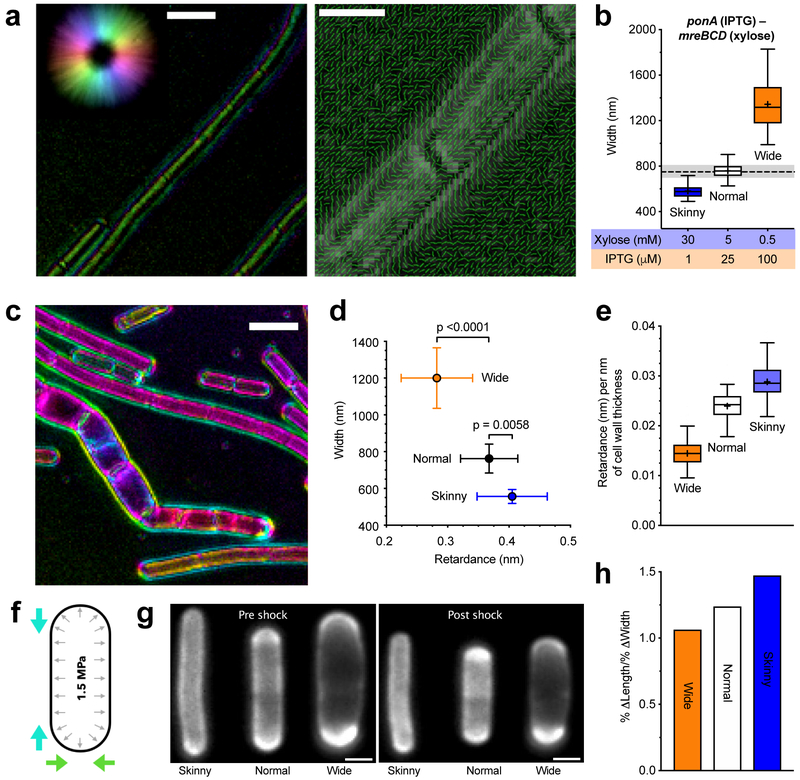 Figure 4 —