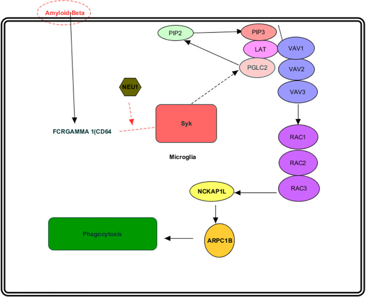 Figure 2.