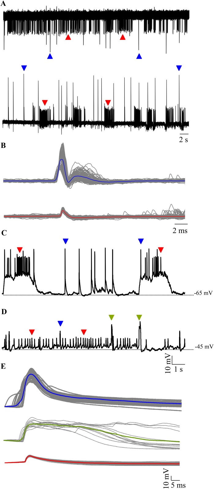 Figure 2.