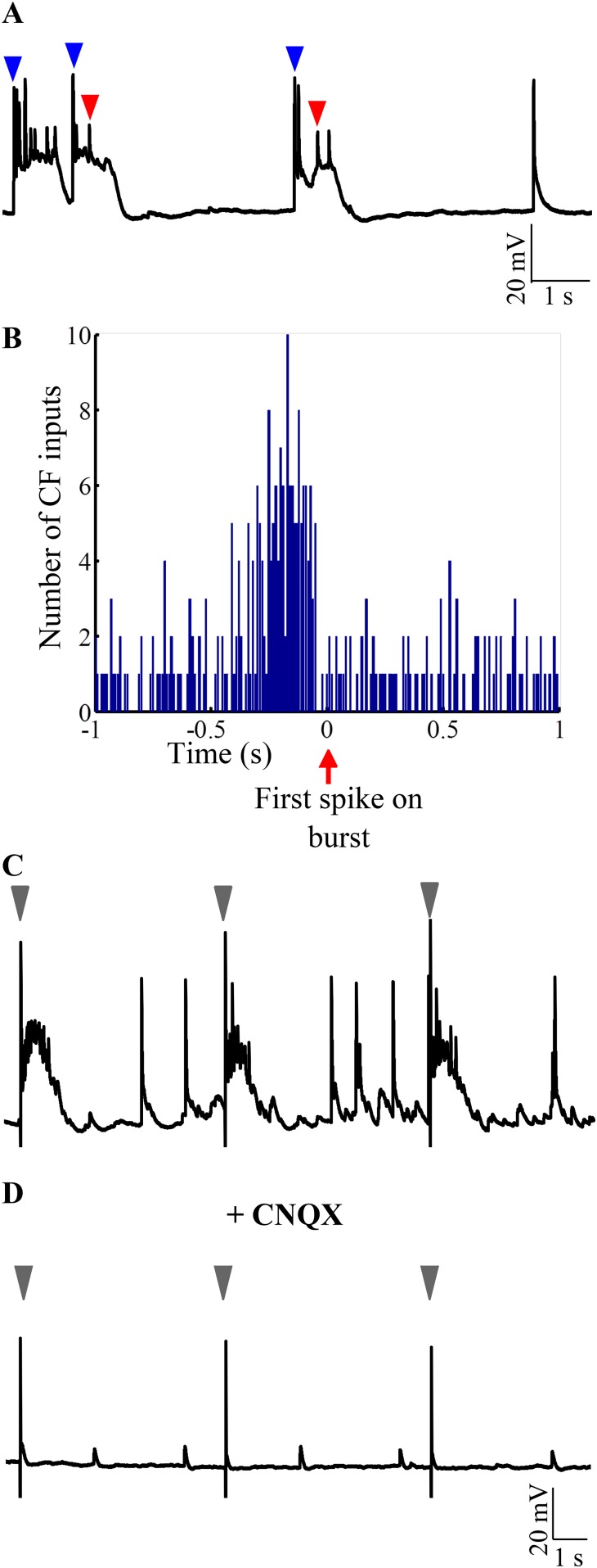 Figure 7.