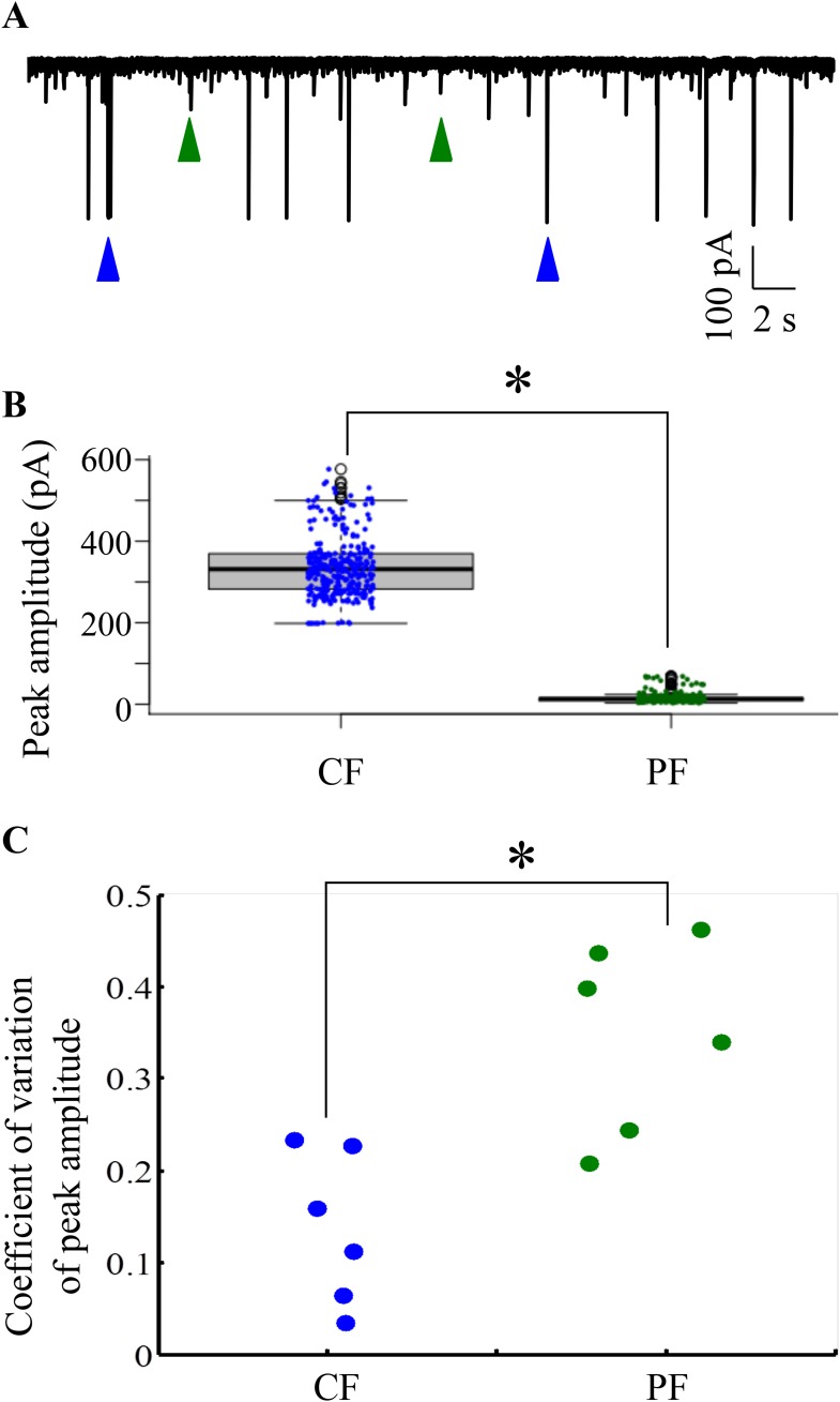 Figure 5—figure supplement 2.