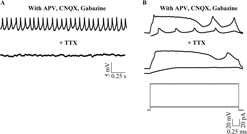 Figure 3—figure supplement 2.