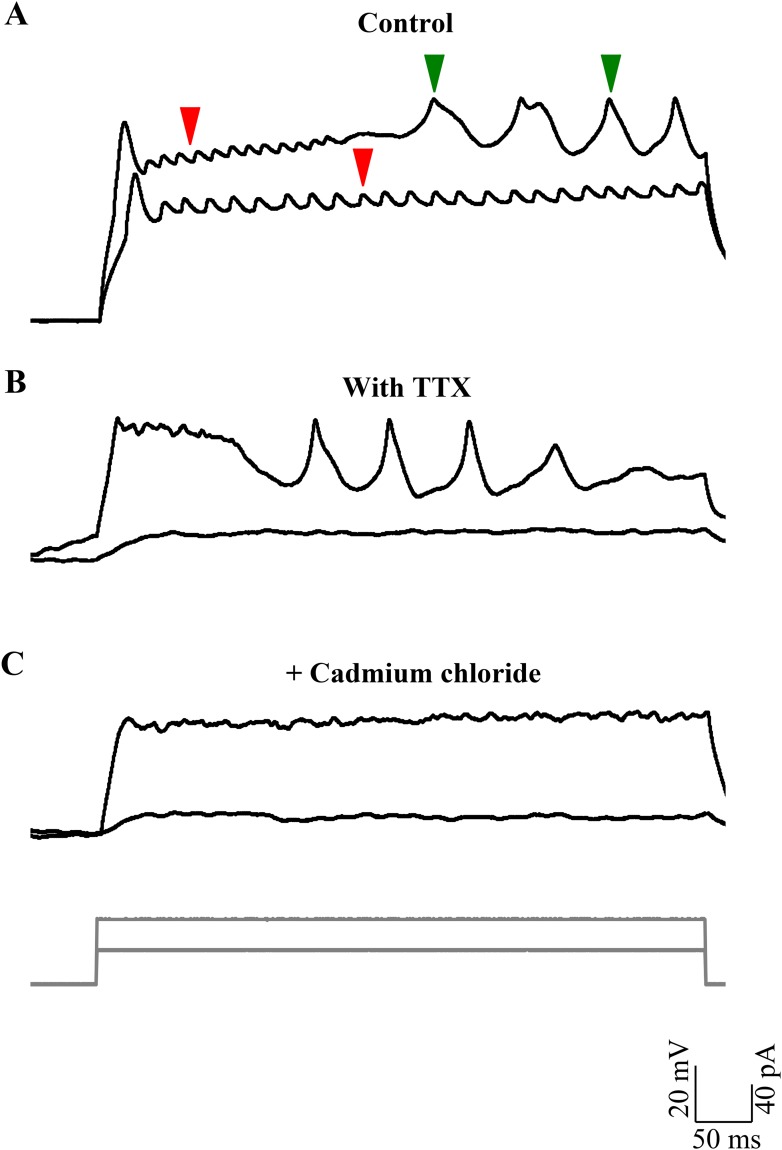 Figure 4.