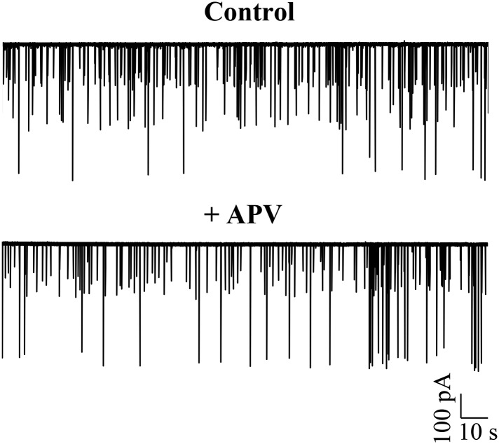 Figure 5—figure supplement 1.