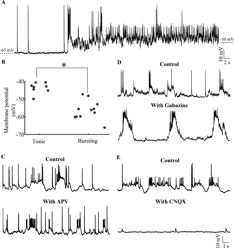 Figure 6.