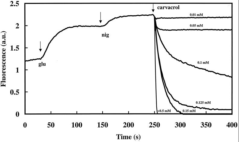 FIG. 3