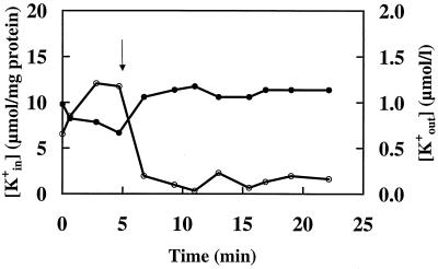 FIG. 5